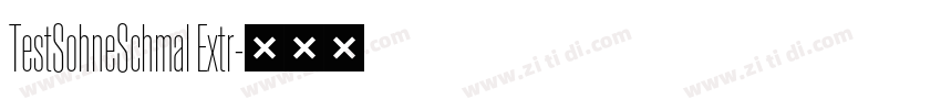 TestSohneSchmal Extr字体转换